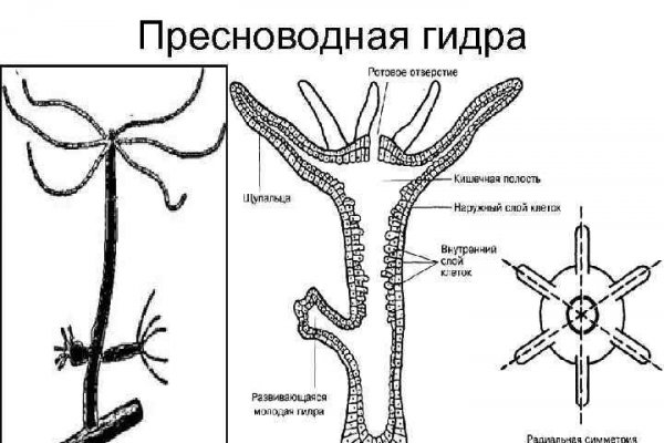 Кракен актуальная ссылка