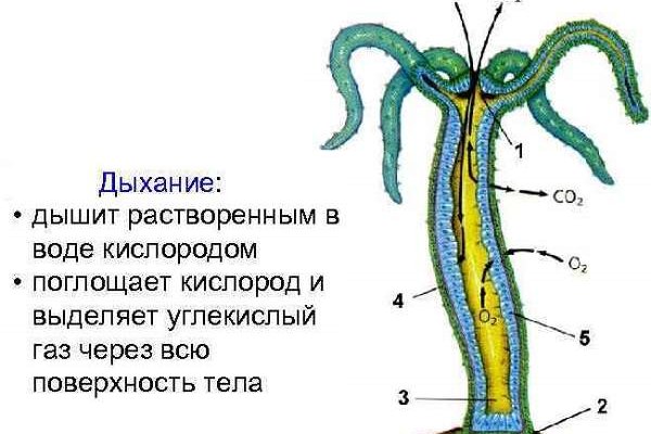 Доступ кракен